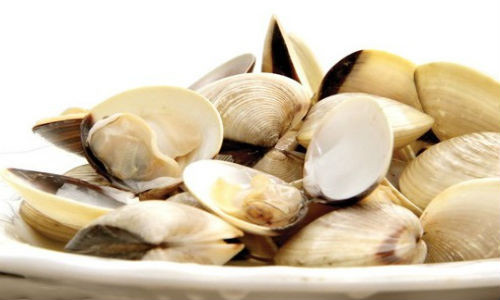 Ngao là món ăn bổ dưỡng được nhiều người yêu thích.