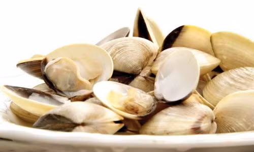 Ngao là món ăn bổ dưỡng được nhiều người yêu thích.