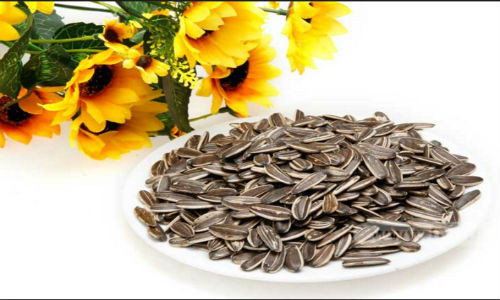 Hạt hướng dương có rất nhiều công dụng với sức khỏe con người.