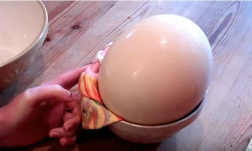 Quả trứng đà điểu lớn nhất thế giới.