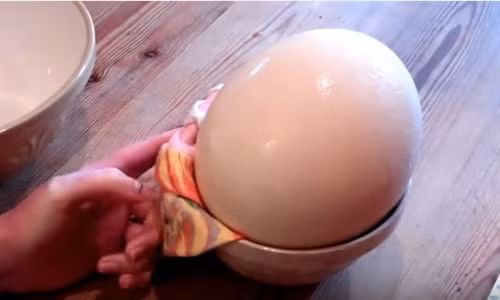 Quả trứng đà điểu lớn nhất thế giới.