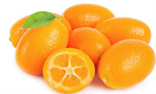 Quả quất có rất nhiều công dụng với sức khỏe.