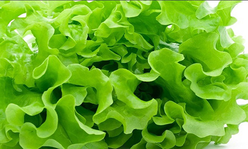 Bạn có thể giữ rau tươi lâu trong một tuần.