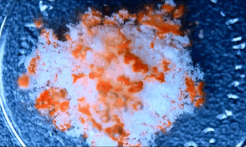 Viên thuốc được hòa tan.