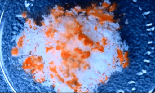 Viên thuốc được hòa tan.