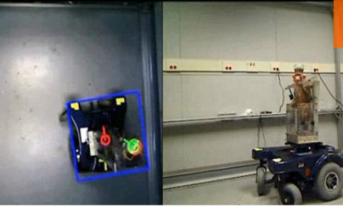 Hình ảnh chú khỉ lái xe.