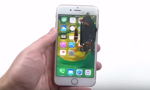 iPhone 6S sau khi bị làm nóng cháy.