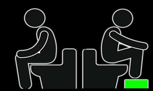 Bạn đang sử dụng bồn cầu theo cách nào?