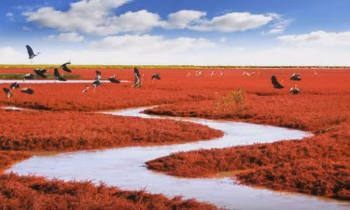 Một trong những điểm du lịch nhất định phải đến.