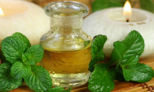 Tinh dầu bạc hà tự làm rất an toàn.