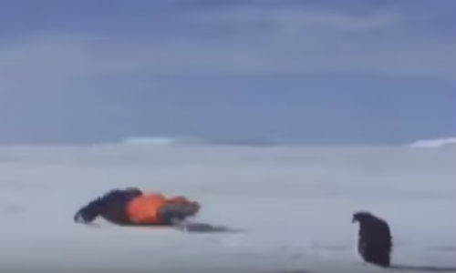 Những cú ngã cười ra nước mắt. Những cú ngã cười ra nước mắt.