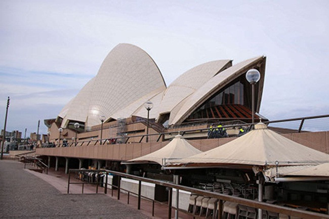 Mục đích của kế hoạch này là nhằm xoa dịu cú sốc đối với thị trường việc làm cũng như hỗ trợ các doanh nghiệp vừa và nhỏ 