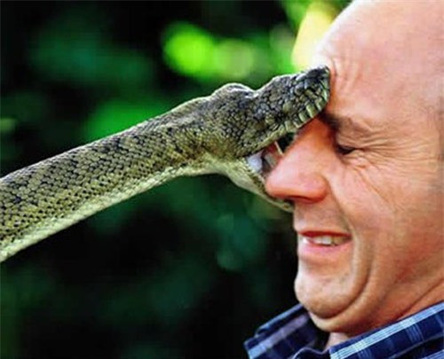 Người đàn ông bị cướp có súng đe dọa, bị đâm vào ngực, bị rắn cắn rồi lại bị sét đánh (Ảnh minh họa)