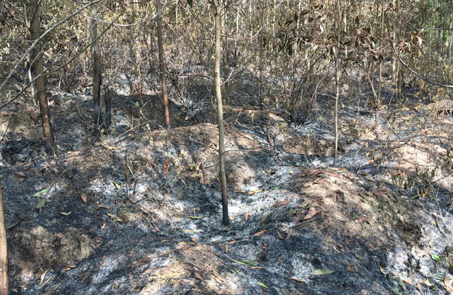 Khoi to thanh nien 17 tuoi lien tiep dot rung de 