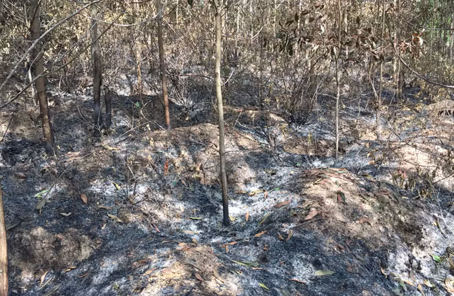 Khoi to thanh nien 17 tuoi lien tiep dot rung de 