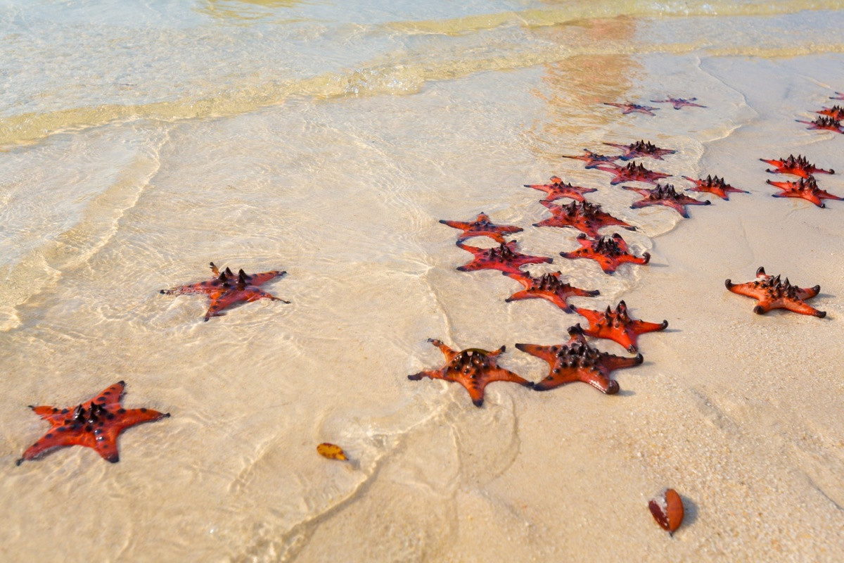 Gành Dầu, Phú Quốc cũng là địa danh làm say lòng du khách với vẻ đẹp nguyên sơ, bình dị. Ảnh: Anna Ewa Bieniek/Shutterstock.