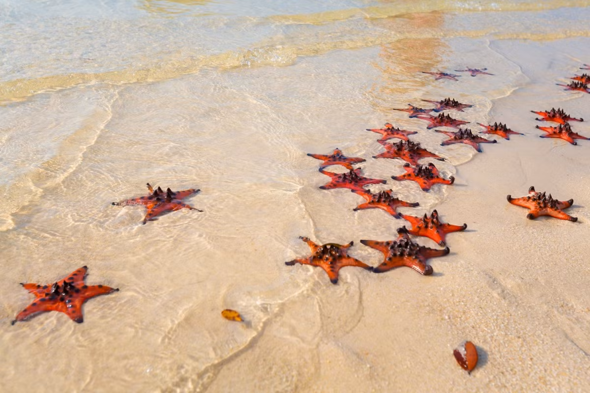 Gành Dầu, Phú Quốc cũng là địa danh làm say lòng du khách với vẻ đẹp nguyên sơ, bình dị. Ảnh: Anna Ewa Bieniek/Shutterstock.