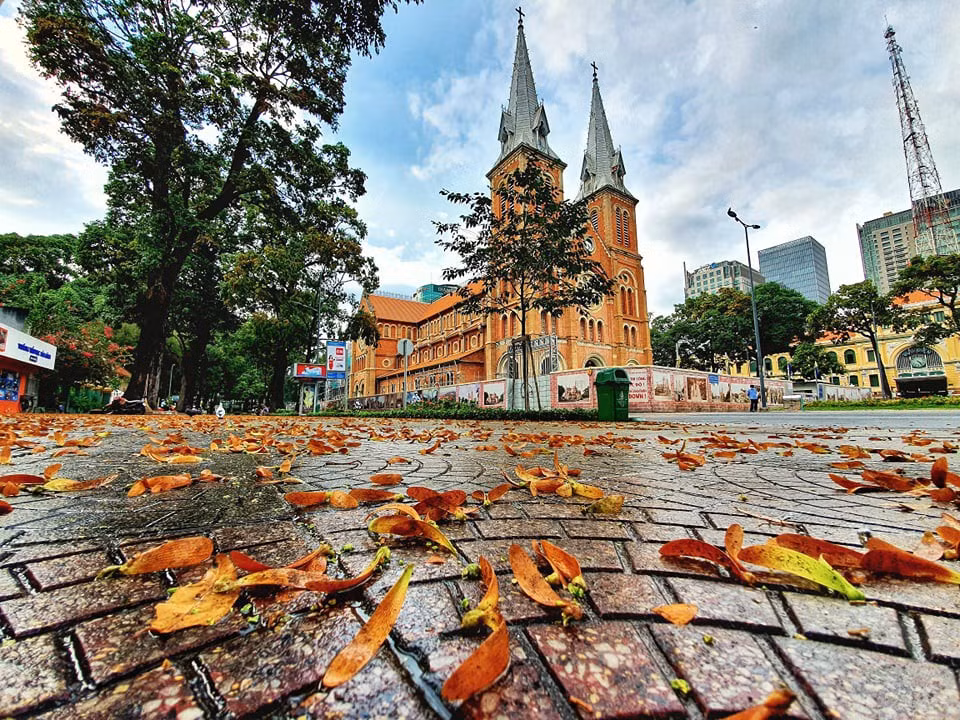 Trong đó, TP. HCM xếp ở vị trí thứ 8.