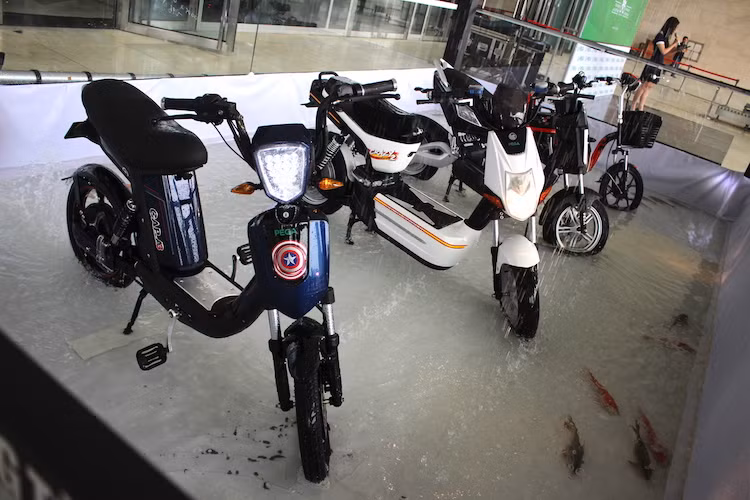 Trong lần ra mắt này. Pega đã giới thiệu 4 dòng xe, trong đó có 2 chiếc xe đạp điện là Zinger Color 3, CAP-A 3 và 2 dòng xe máy điện Crazy Bull 2 - Trans. Cả 4 mẫu xe đều được thiết kế và sản xuất phần lớn linh kiện tại Việt Nam, sử dụng động cơ của hãng Bosch (Đức), chống nước toàn bộ xe và được tích hợp khá nhiều tính năng mới.