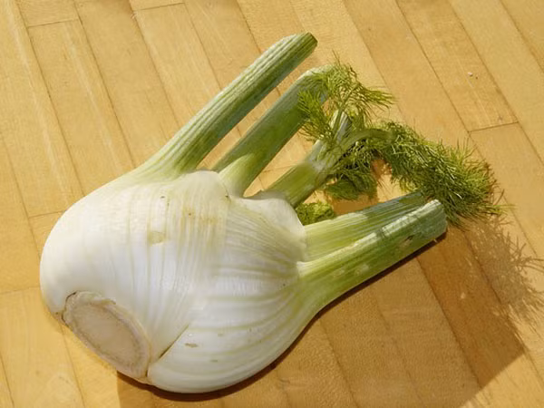 Cây thì là. Thảo dược này có chứa một hàm lượng cao các chất flavonoid và do đó rất hữu ích trong việc tăng lượng estrogen trong cơ thể người phụ nữ. Những hạt cây thì là cũng có tác dụng như chất kích thích và thuốc bổ. Những hạt giống này đóng một vai trò tuyệt vời trong sự hình thành của các tế bào mới và các mô trong ngực, mà có thể làm tăng kích thước của chúng.