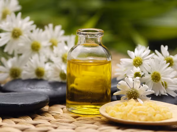 Dầu dừa. Bôi dầu dừa lên môi để giảm đau cũng như giảm sưng, viêm nhiễm gây ra bởi nấm sinh dục. Bởi dầu dừa chứa một chất gọi là axit caprylic có tác dụng giết chết nấm candina.