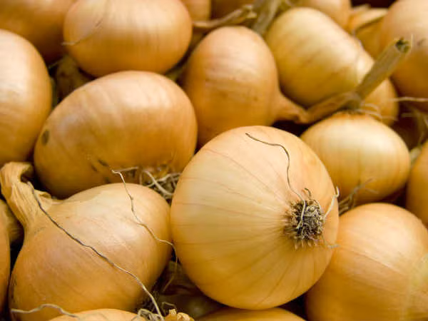 Tỏi và hành. Áp dụng trực tiếp hành tây hoặc tỏi lên khu vực mụn loét sinh dục trên môi, hoặc bạn cũng có thể nó vào chế độ ăn uống của mình.