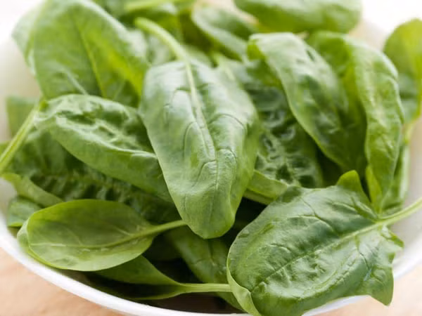 Rau bina. Loại rau này chứa nhiều chất sắt và vitamin B có tác dụng điều trị, ngăn ngừa ung thư tuyến tụy.