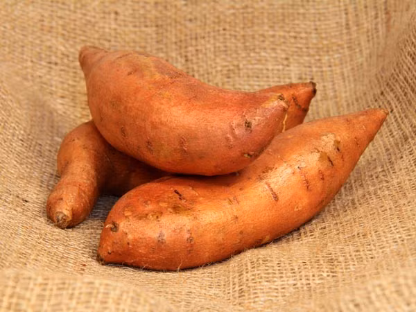 Khoai lang. Trong khoai lang có chứa hàm lượng beta-carotene vitamin, carotenoid, kali và magie dồi dào. Các chất này có tác dụng lớn trong việc ngăn ngừa sự hình thành và phát triển của các tế bào ung thư, là một thực phẩm giúp phòng tránh ung thư hiệu quả.