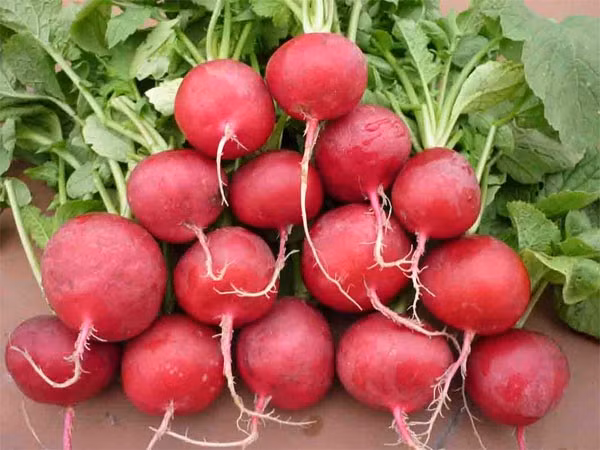 Củ cải đường. Thay vì dùng đường bạn có thể sử dụng củ cải đường để thêm vị ngọt cho một số món ăn.