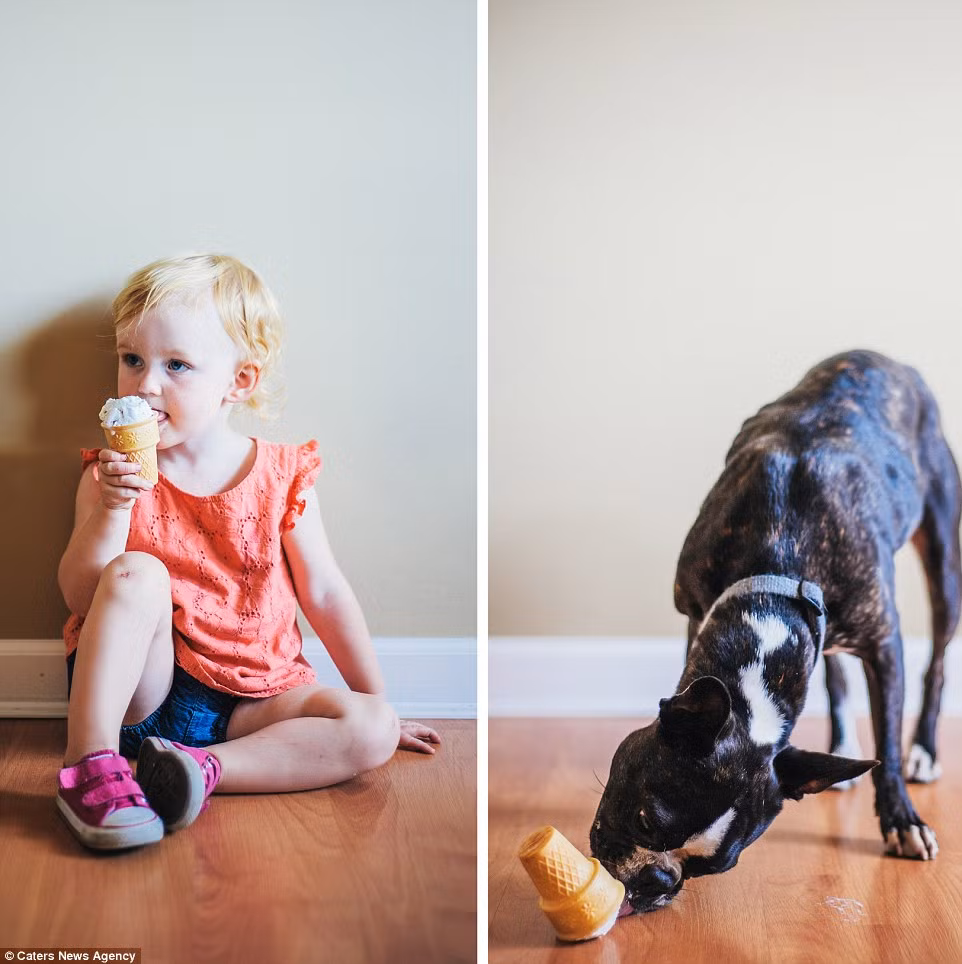 Trong những bức ảnh này, em bé và cún cưng được chụp trong những bối cảnh y như nhau và tham gia và rất nhiều hoạt động khác nhau như ăn, mặc, khi đang thư giãn, vui vẻ, hay khi khám phá ngoài trời, khi cùng đọc một cuốn sách, hay khi nằm ườn trên giường...