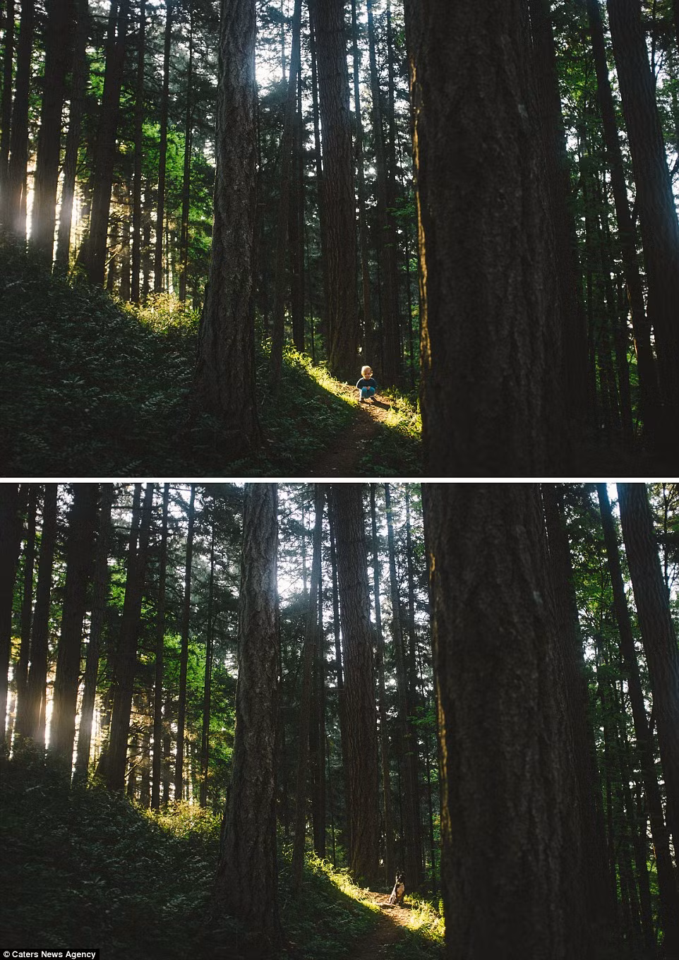 Nhiếp ảnh gia cho biết rằng sẽ tiếp tục cho ra đời thêm nhiều bức ảnh thú vị và đáng yêu như thế này.