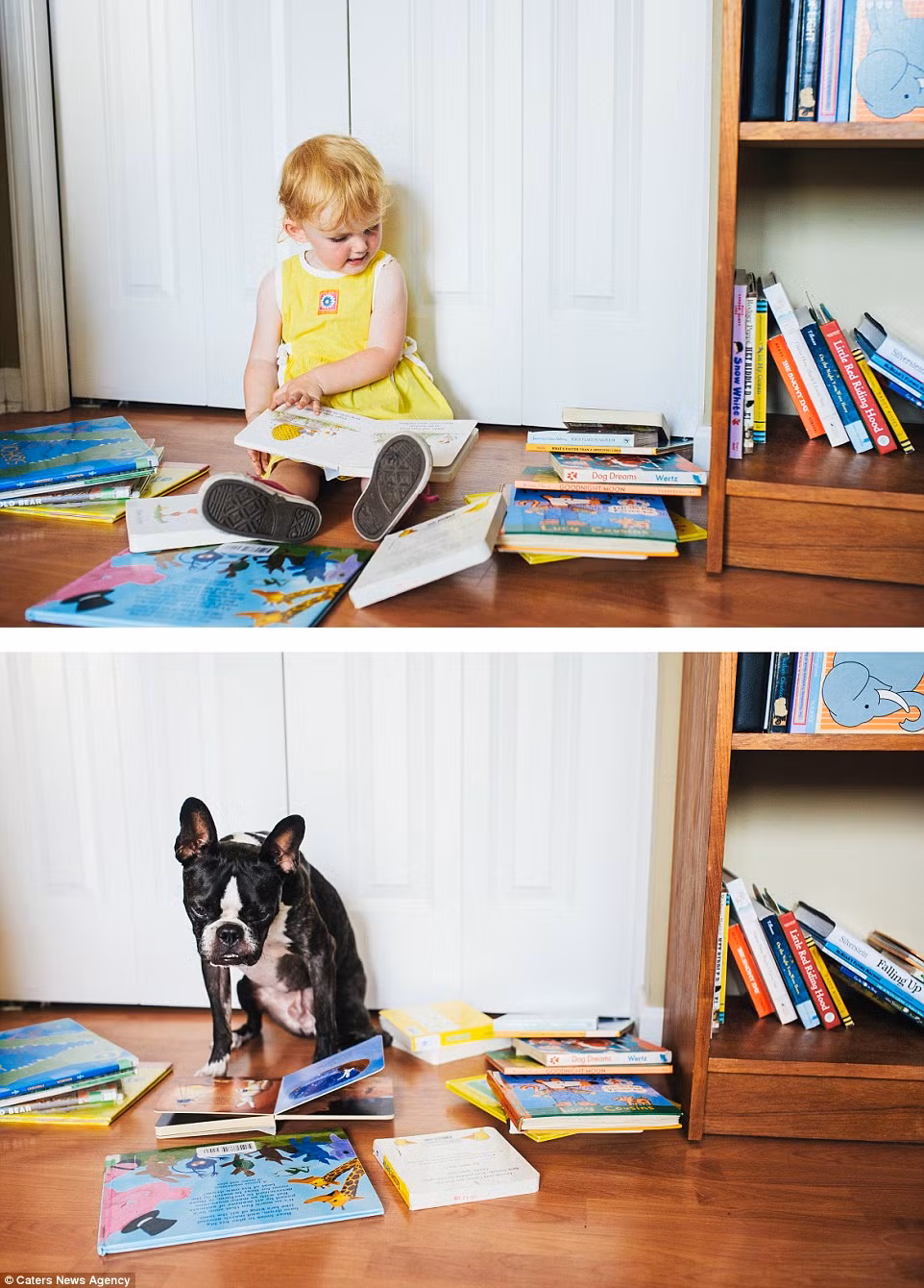 Cả 2 đều rất chăm chú đọc sách.