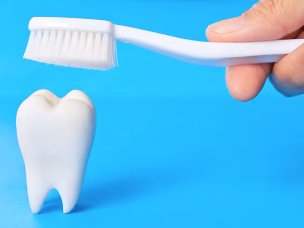 Đánh răng. Đánh răng không chỉ giúp bạn có hàm răng sạch sẽ mà còn giúp người bạn đời không bị một phen hốt hoảng vì hơi thở hôi hám của bạn. Đây là nguyên tắc vệ sinh cơ bản các cặp đôi nên làm theo trước khi giao hợp.