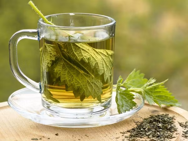 Trà lá cây tầm ma. Trà lá tầm ma rất giàu chất sắt, giúp cơ thể chữa lành và tái tạo những mất mát cho hút thuốc lá.