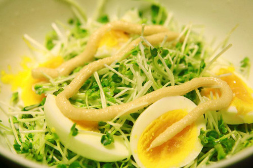 3. Ăn thực phẩm chưa chế biến như rau mầm, rau sống...để cung cấp các chất dinh dưỡng nguyên chất cơ thể trong kế hoạch thải độc, giảm cân.