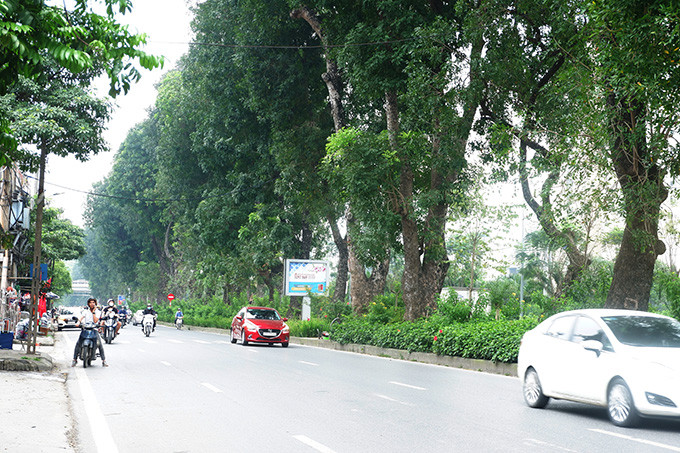 Đường phố thông thoáng do ít phương tiện.