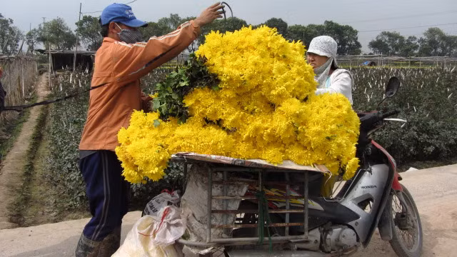 Lang hoa Tay Tuu ruc ro nhung ngay can Tet-Hinh-4