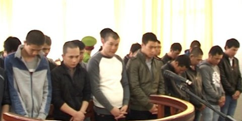 Dau gau dan tran chem nhau nhu trong phim