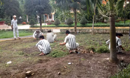 Noi an han muon mang nguoi vo cat 