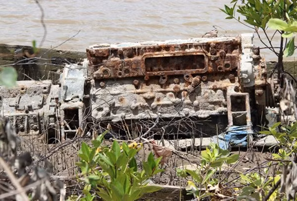 Vu chim tau kinh hoang nhat Ca Mau: noi dau nguoi o lai-Hinh-3