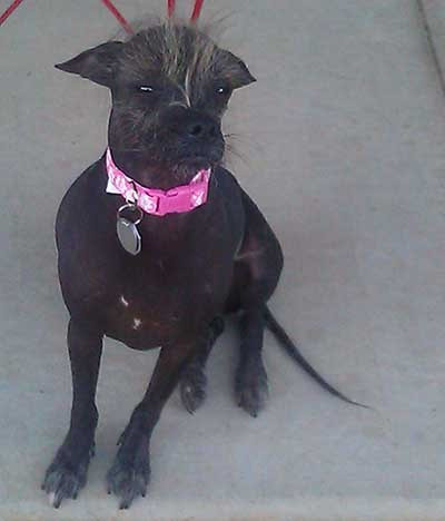 Cindy Loo Whoo. (Nguồn: ibtimes)