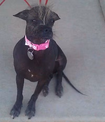 Cindy Loo Whoo. (Nguồn: ibtimes)