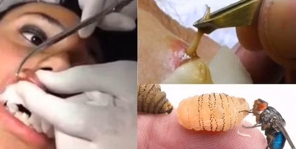 Kinh di doi lam to trong doi moi co gai-Hinh-2