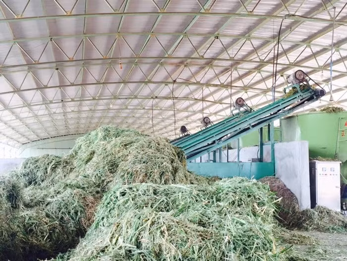 Trang trai bo cua bau Duc o Lao co gi doc-Hinh-12