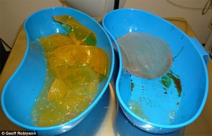 5 vu no nguc gia rung ron nhat the gioi-Hinh-3