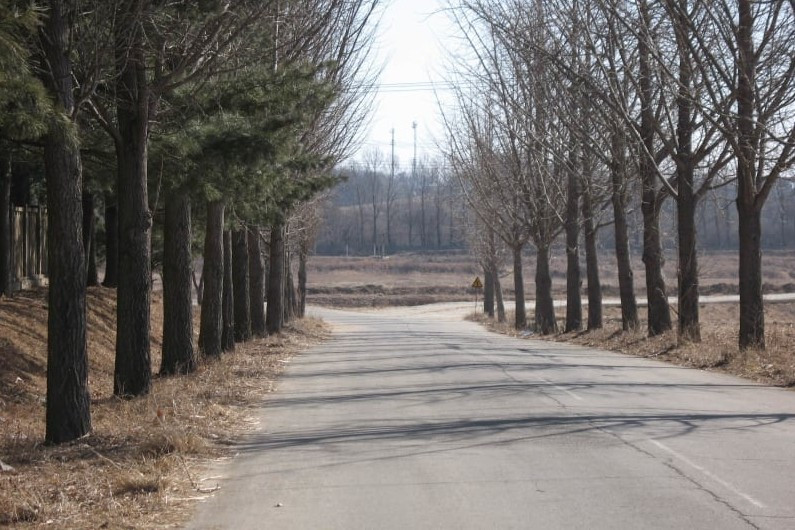 Góc nhìn từ Bảo tàng Hòa bình. Đường đi sang trái là dẫn tới Khu An ninh Chung, đường đi sang phải dẫn tới “Cầu Không Trở lại”.