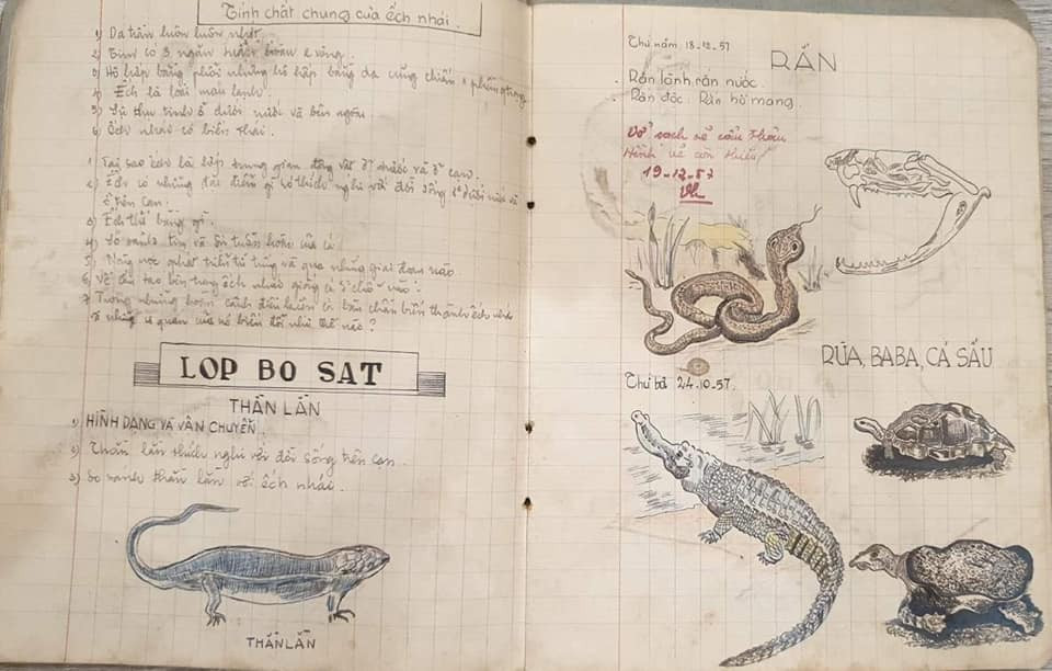 Phía dưới bài đăng có nhiều bạn trẻ đã dành lời khen ngợi cho cuốn vở Sinh học của bác U60 này: "Chắc bác sau này thành đạt. Dấu ấn, bút tích của bác đâu có thường...", "Đẹp quá. Như kiểu đang xem SGK ý",...