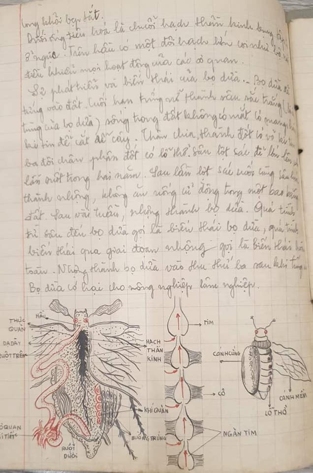 Bức vẽ này cho thấy người vẽ là người cực kì tỉ mỉ.