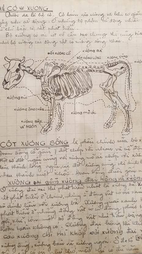 "Vẽ và ghi chép như bác thì quả là rất hiếm và vô cùng kính nể. Như thời 7x mình đi hoc, môn Địa, Sử cũng phải vẽ bản đồ, môn Sinh học vẽ vòng tuần hoàn v.v nên nhớ rất lâu!" - tài khoản Thu Ha Pham bình luận.