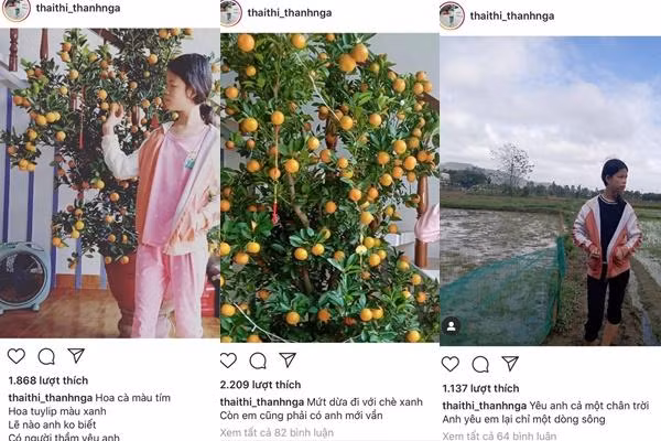 Đặc biệt, Thanh Nga Bento còn gây chú ý khắp cõi mạng với hàng loạt câu "thả thính" đi vào lòng người. Hình ảnh cô bạn sau đó phủ sóng khắp cõi mạng với nhiều hình ảnh chế hài hước.